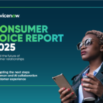 EMEA Consumer Voice Report 2025
